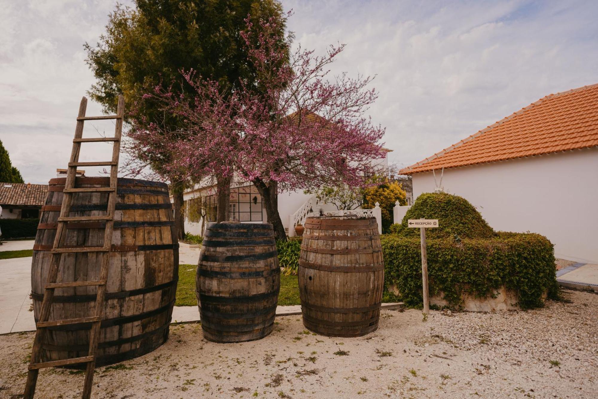 מלון Casevel Quinta Carvalhas - The Green Farm מראה חיצוני תמונה