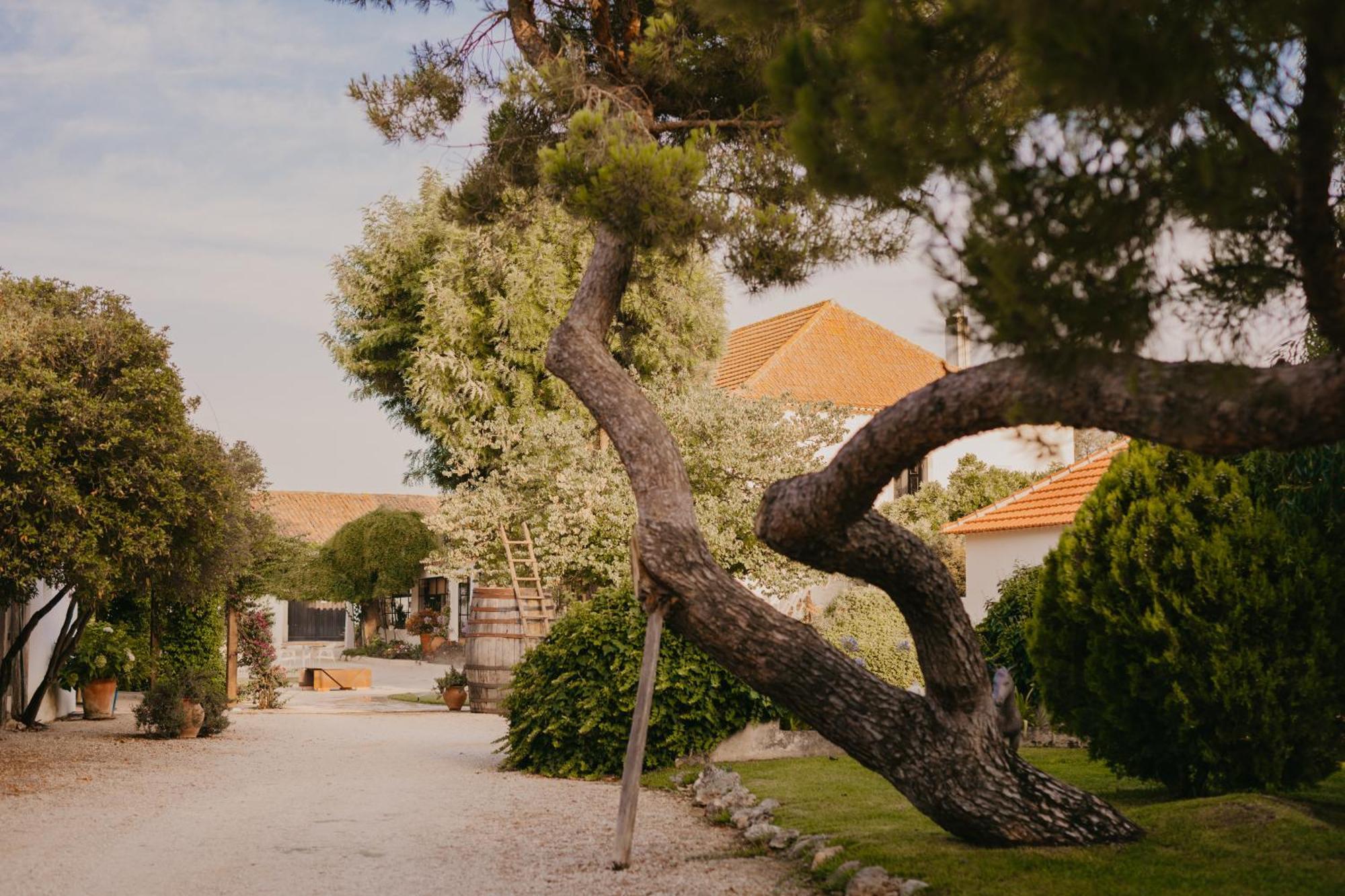מלון Casevel Quinta Carvalhas - The Green Farm מראה חיצוני תמונה