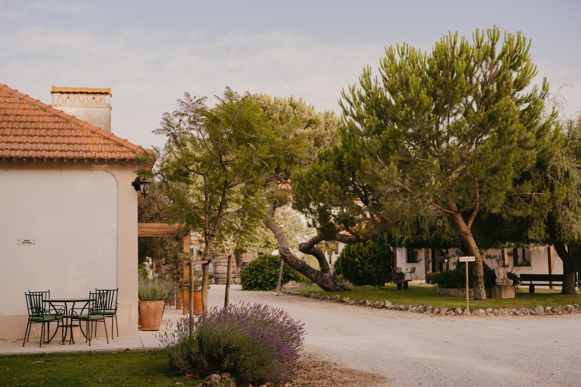 מלון Casevel Quinta Carvalhas - The Green Farm מראה חיצוני תמונה